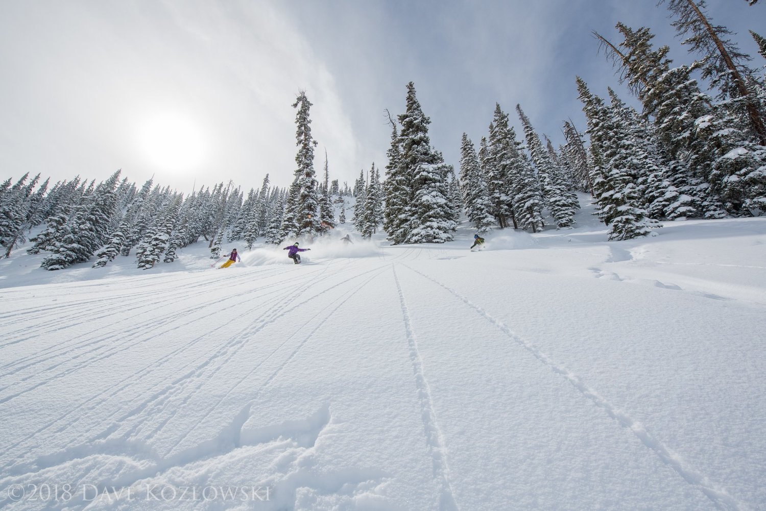 Jobs Crested Butte Colorado at Nicholas Walker blog